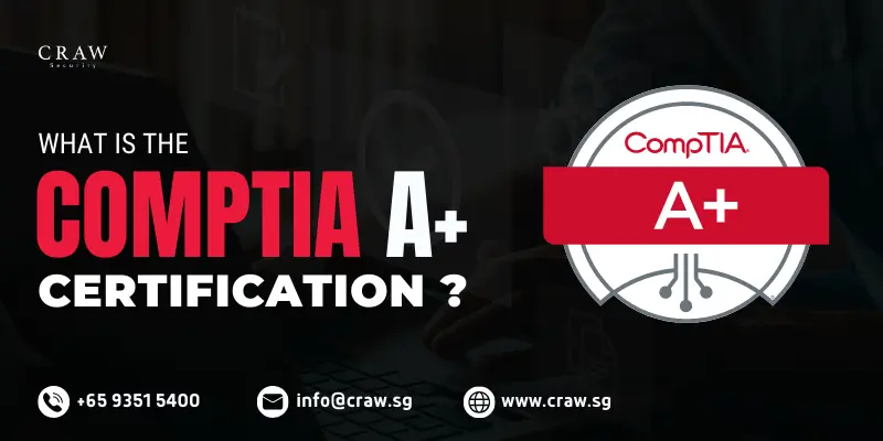 What Is the CompTIA A+ Certification? | A Certification to Start Your IT Career [Updated 2024]