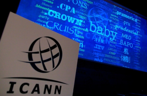 Basic Principles of ICANN