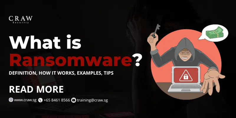 What is Ransomware? Definition, How it Works, Examples, Tips [Updated 2024]