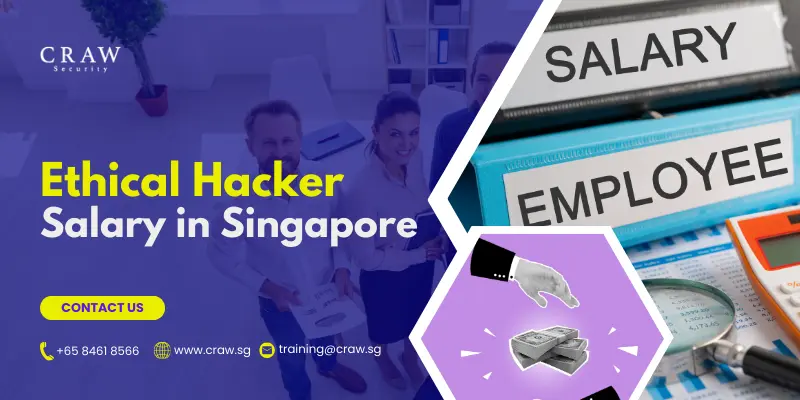 Ethical Hacker Salary in Singapore